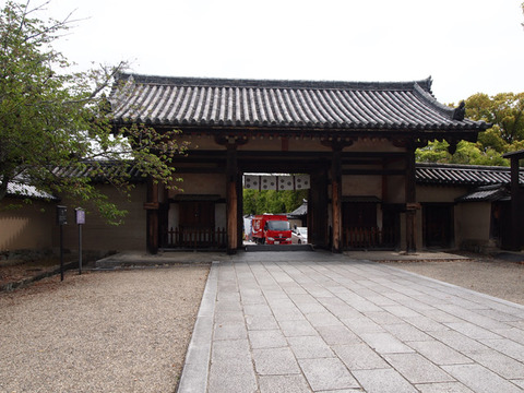 nara60