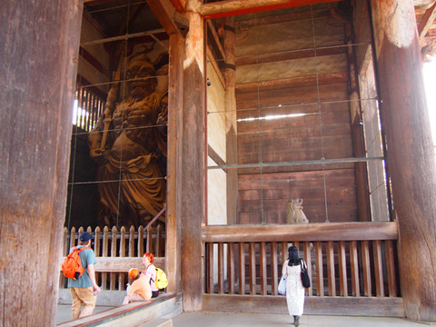 nara12