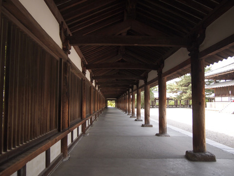 nara56