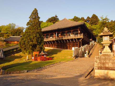 nara30