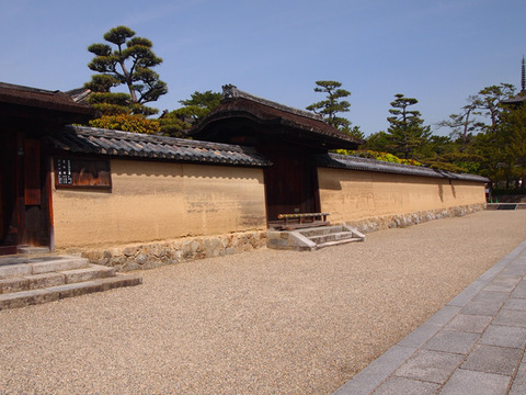 nara44