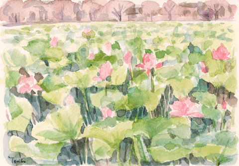 高田城址公園の蓮