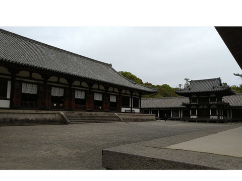 nara79