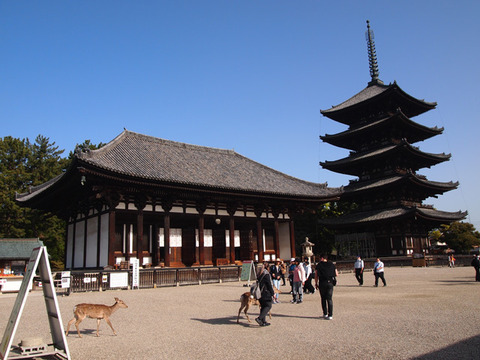nara6