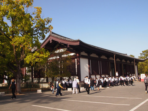 nara7