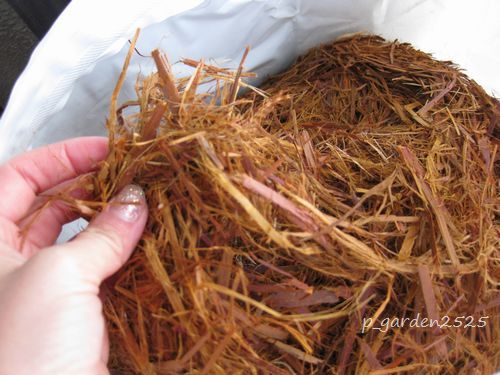 クリプトモス ぽぽちゃんず