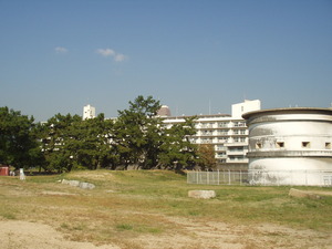 砲台土塁