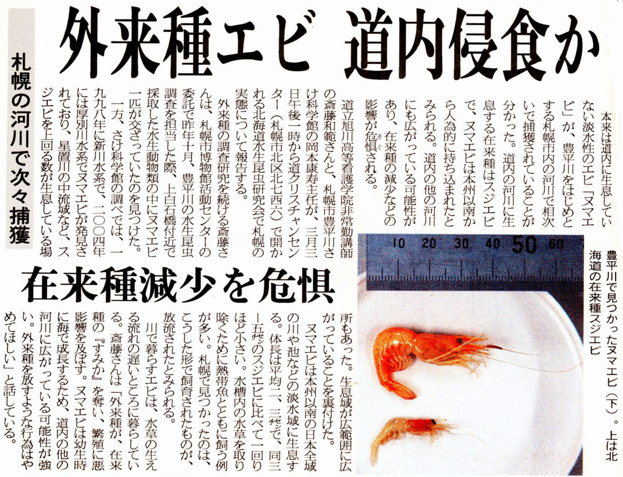 北海道河川の外来エビ スジエビの不思議 北海道河川の外来エビ スジエビの不思議