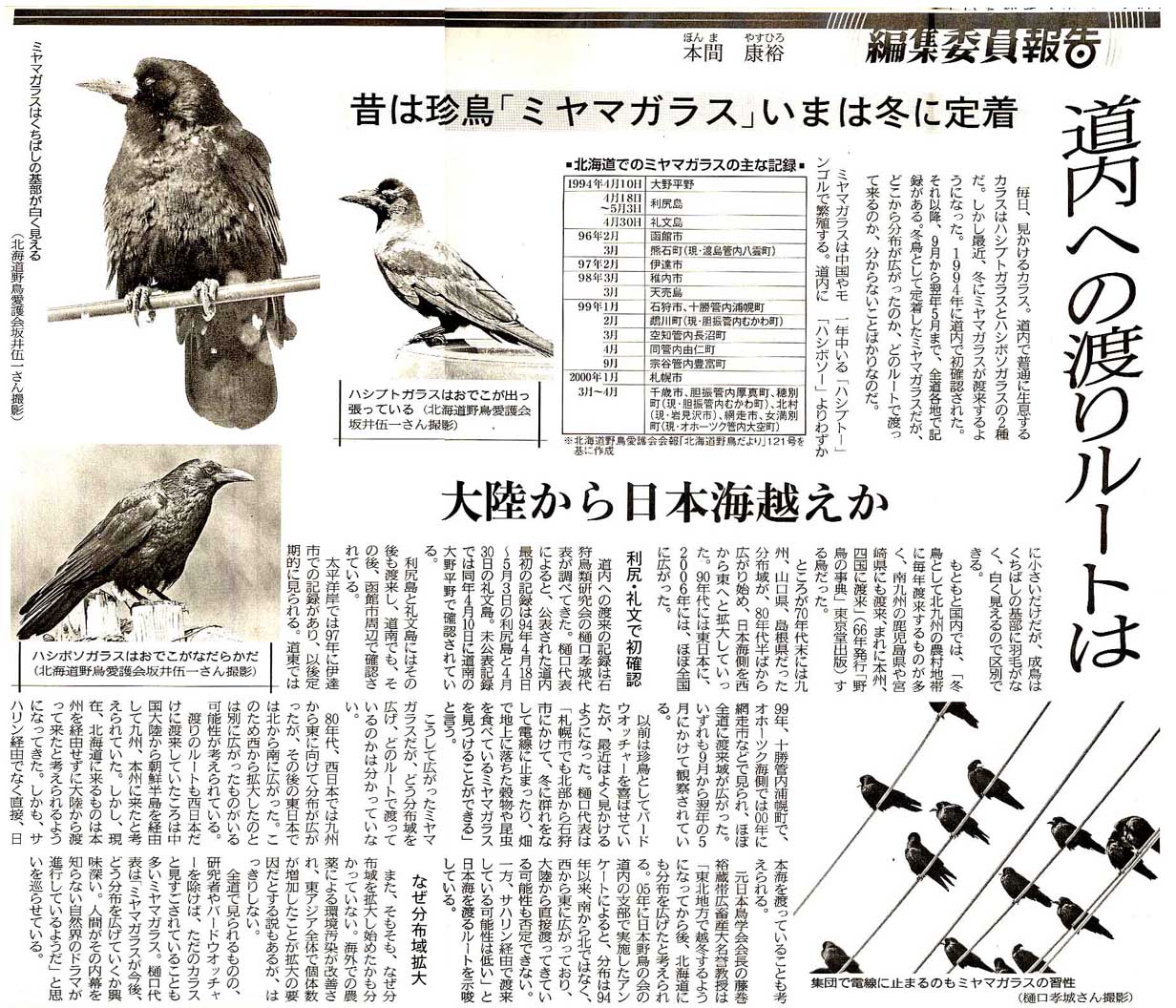 カラス 1 種類 スジエビの不思議 カラス 1 種類 スジエビの不思議