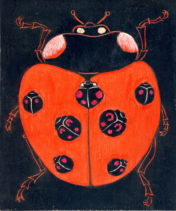 ナナホシテントウ スジエビの不思議