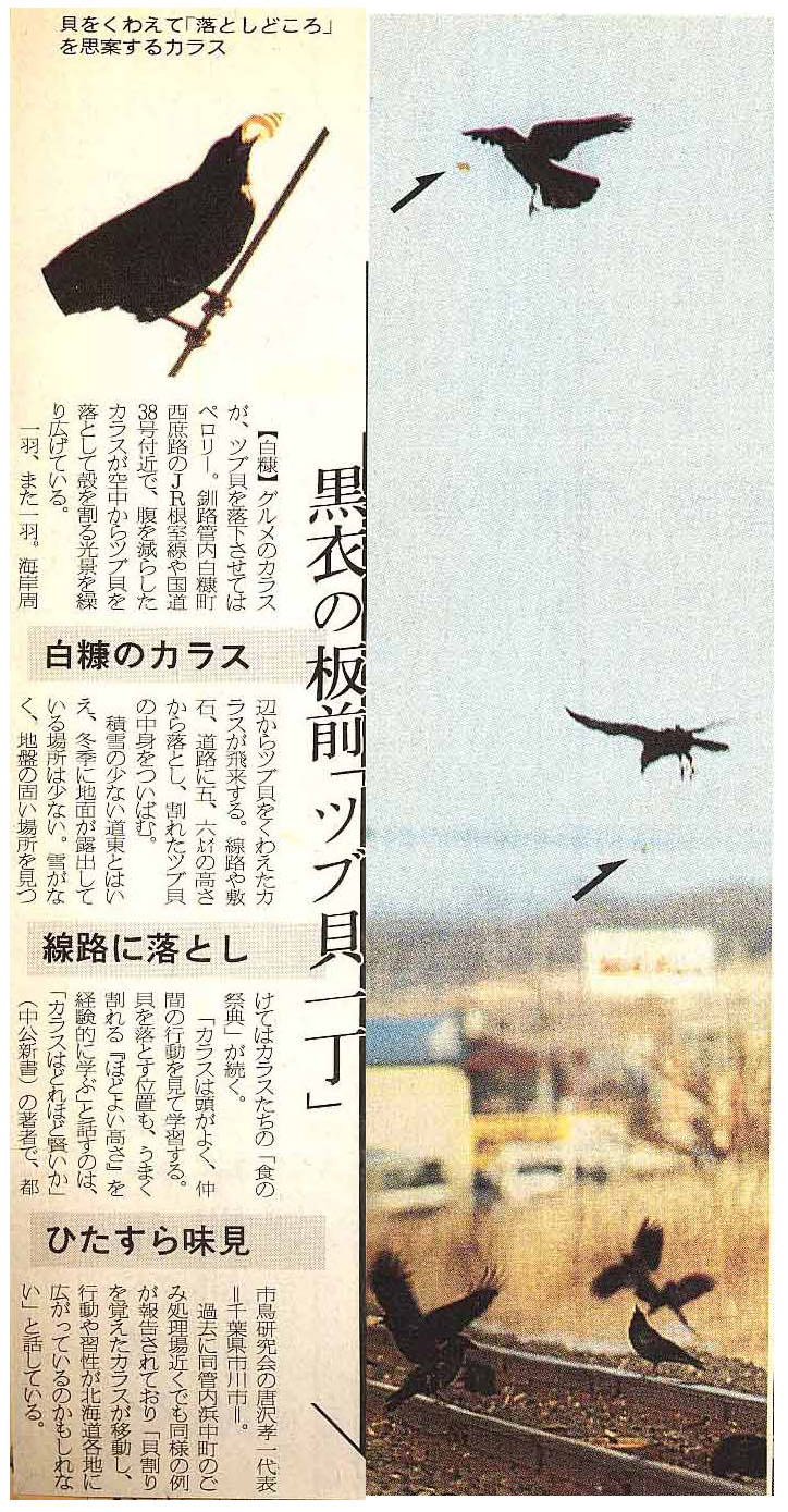 カラス 3 事件簿 スジエビの不思議 カラス 3 事件簿 スジエビの不思議