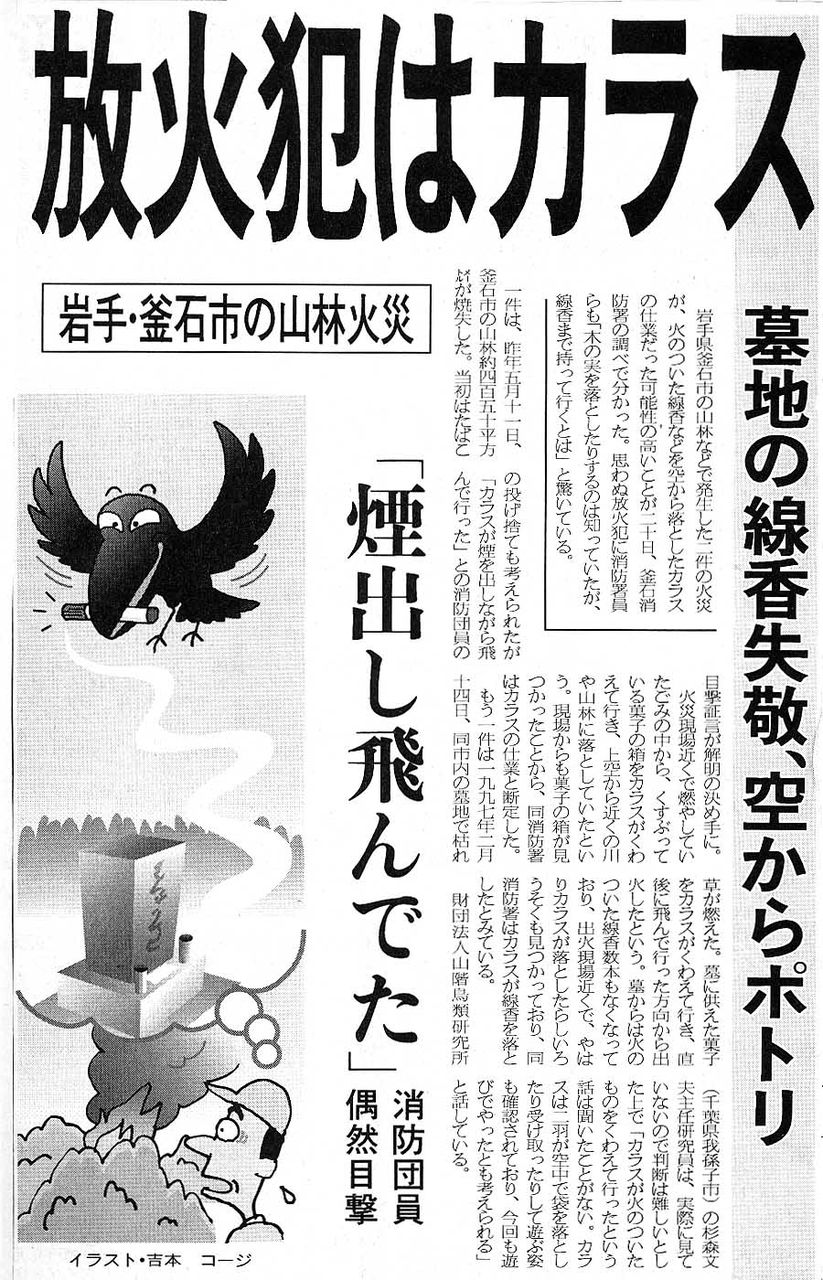 スジエビの不思議 スジエビの不思議