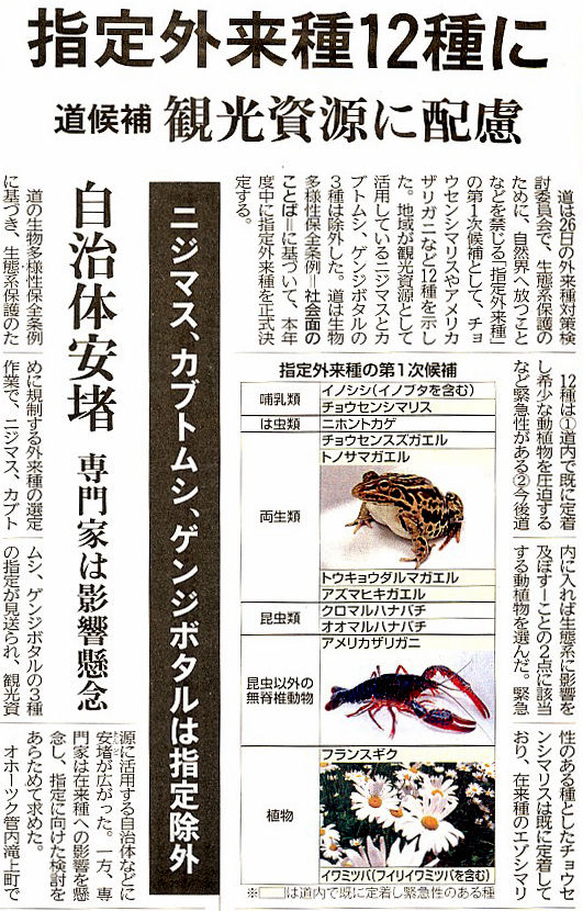 北海道のカブトムシ スジエビの不思議 北海道のカブトムシ スジエビの不思議