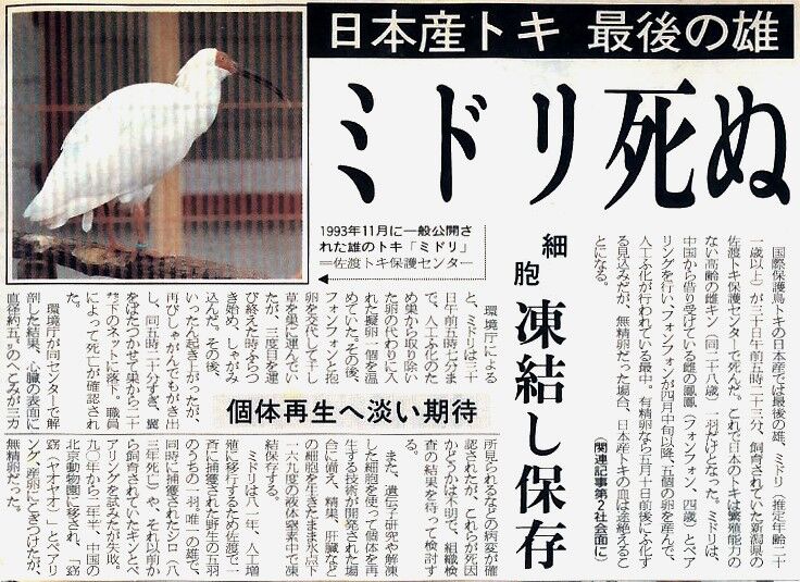 トキの絶滅 スジエビの不思議