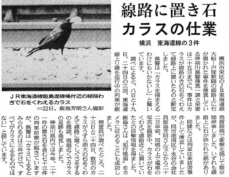 スジエビの不思議 スジエビの不思議