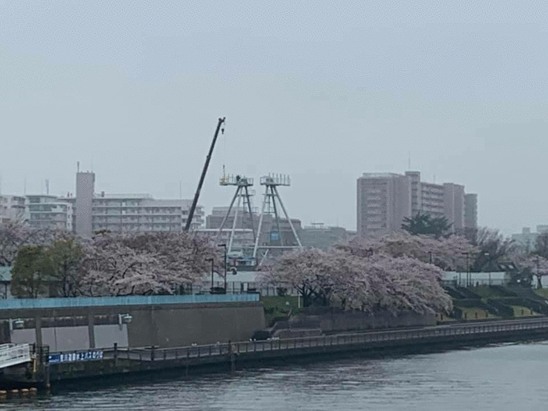 あらかわ遊園リニューアル工事中 洋菓子セキヤ 荒川区西尾久 のブログ