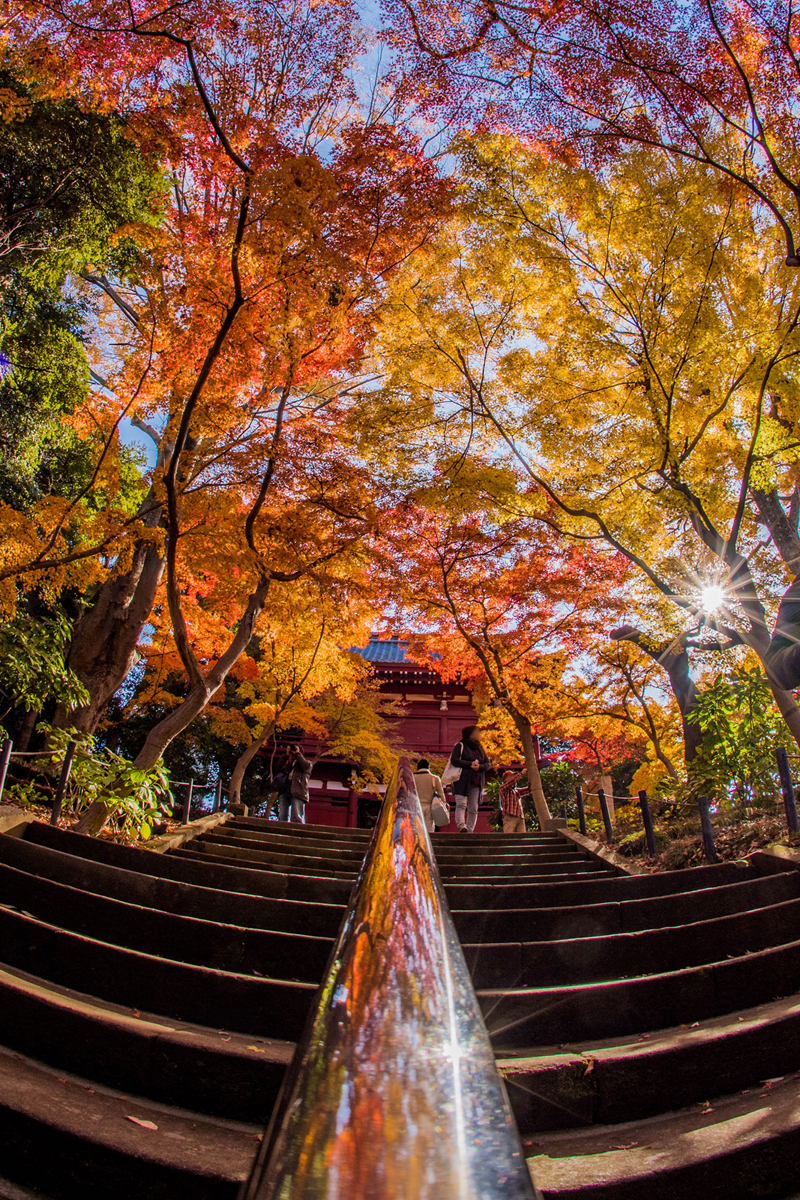 17年12月3日 日 紅葉散歩その１ 本土寺 千葉県松戸市 女装男子ガチ撮り