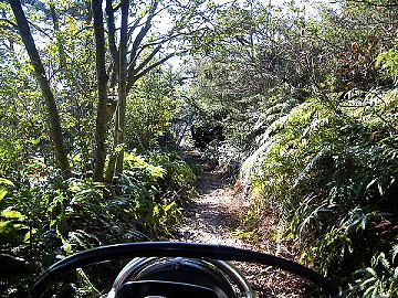 林道アタック 大縣 入鹿池 Route P