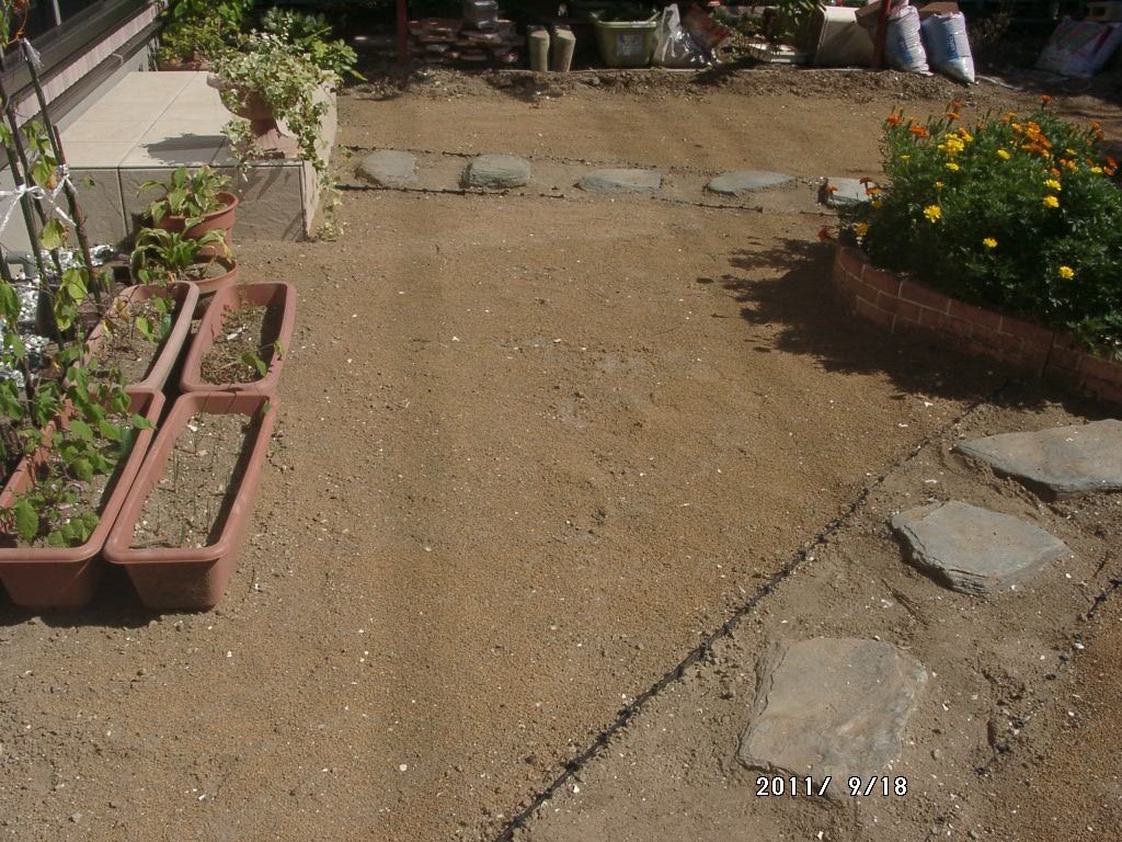 西洋芝の種をまく 還暦からの出発
