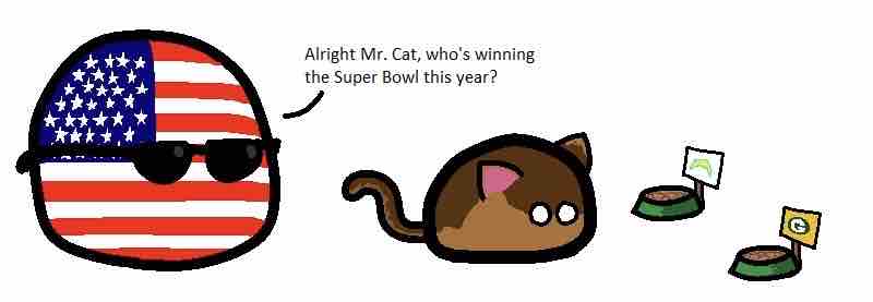 Liechtenkatze ポーランドボール 万国旗 Liechtenkatze ポーランドボール 万国旗