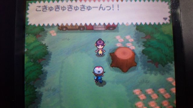 ゾロア ゾロアーク ねくすとぶるー ゾロア ゾロアーク ねくすとぶるー