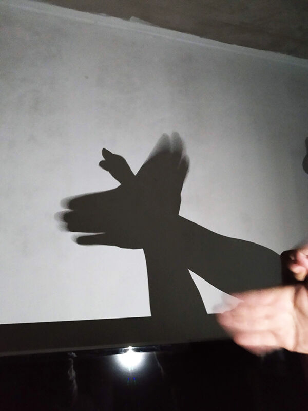 影絵に夢中になる大人たち ぱちぇこだより ペルーに住む日本人 ペルーで子育てやってます