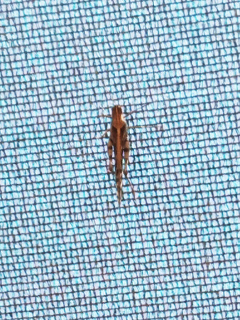 IMG_20200512_102813