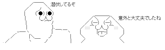 AAの画像化 (4)