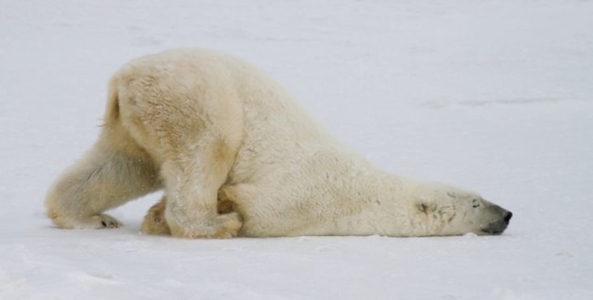 iStock_81828177_SMALL-2-e1470138497124