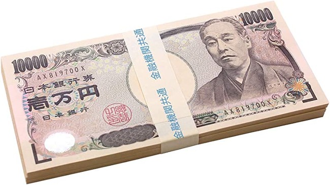 61CdY0LQayL._AC_SY450_