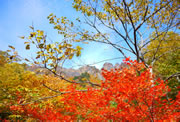 10月14日3