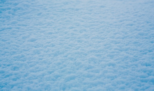 PAK26_yukigatumoru20140209_TP_V