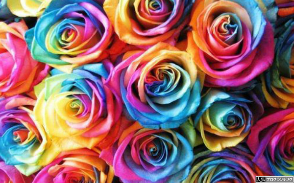 一番レインボーが汚いメーカー