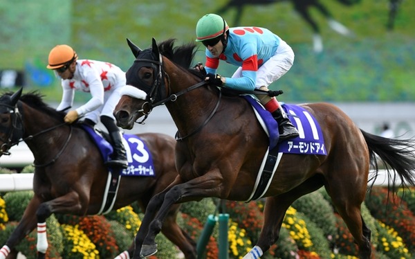 競馬