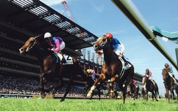 競馬