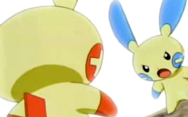 マイナンの勝ち