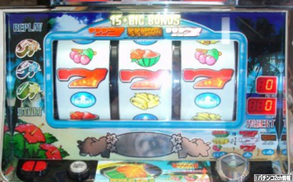 南海花浪漫-30 検定通過