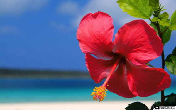 10月13日検定通過