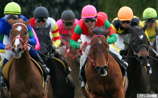 そりゃあもちろんお馬さんよ