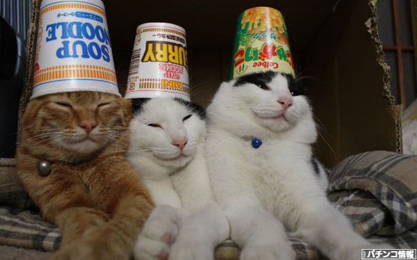 2013年7月7日のパチンカーズ報告