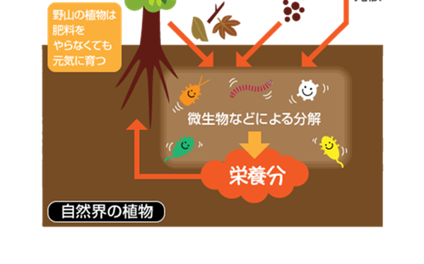 養分