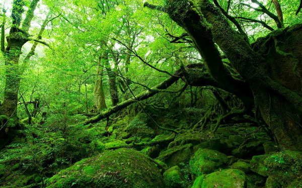 cr_osomatuhmhm-gazou1