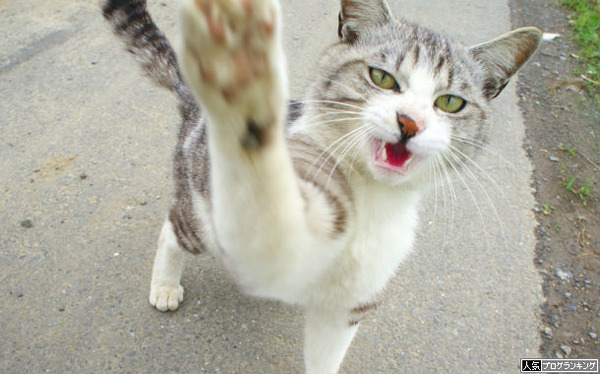 たまには殴りたくなる時あるよね