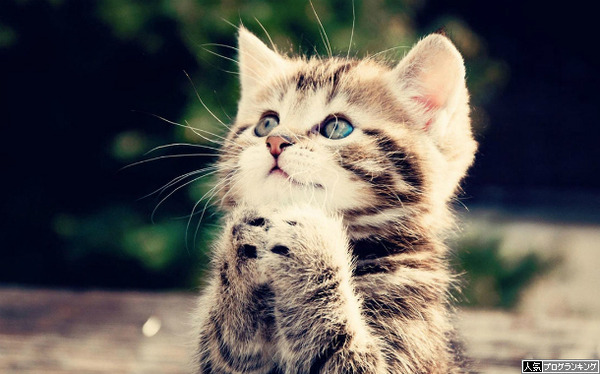 行くだけで期待出来るリーチ