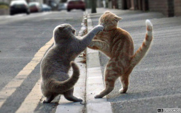 お、恐ろしい戦いだぜ・・・