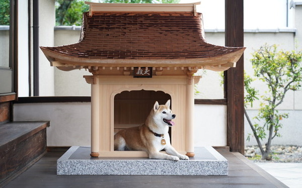 犬小屋