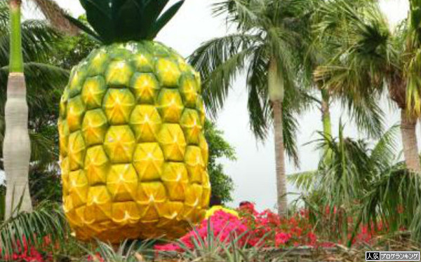 まあ沖海でも打って行ったつもりになろうよ