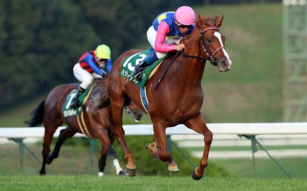 競馬