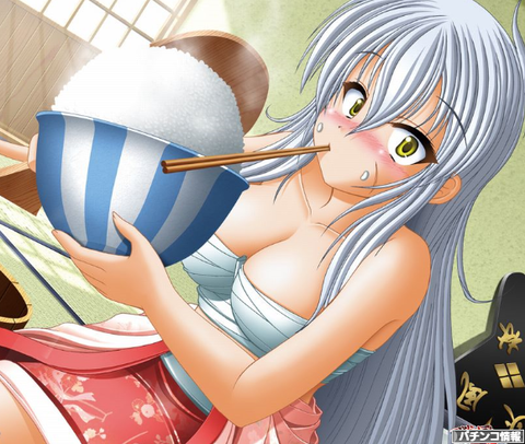 コケようが私は戦国乙女3を愛する！