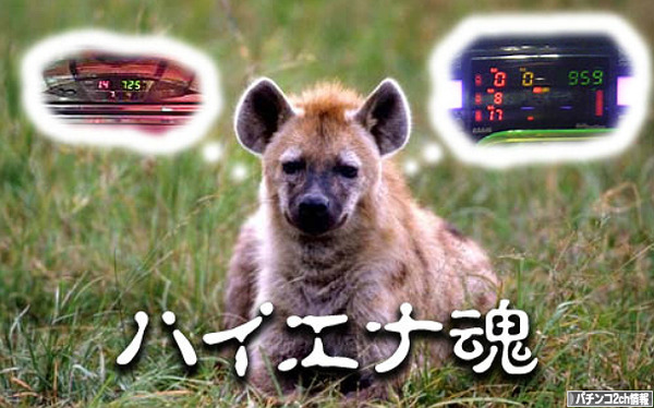ハイエナの期待値